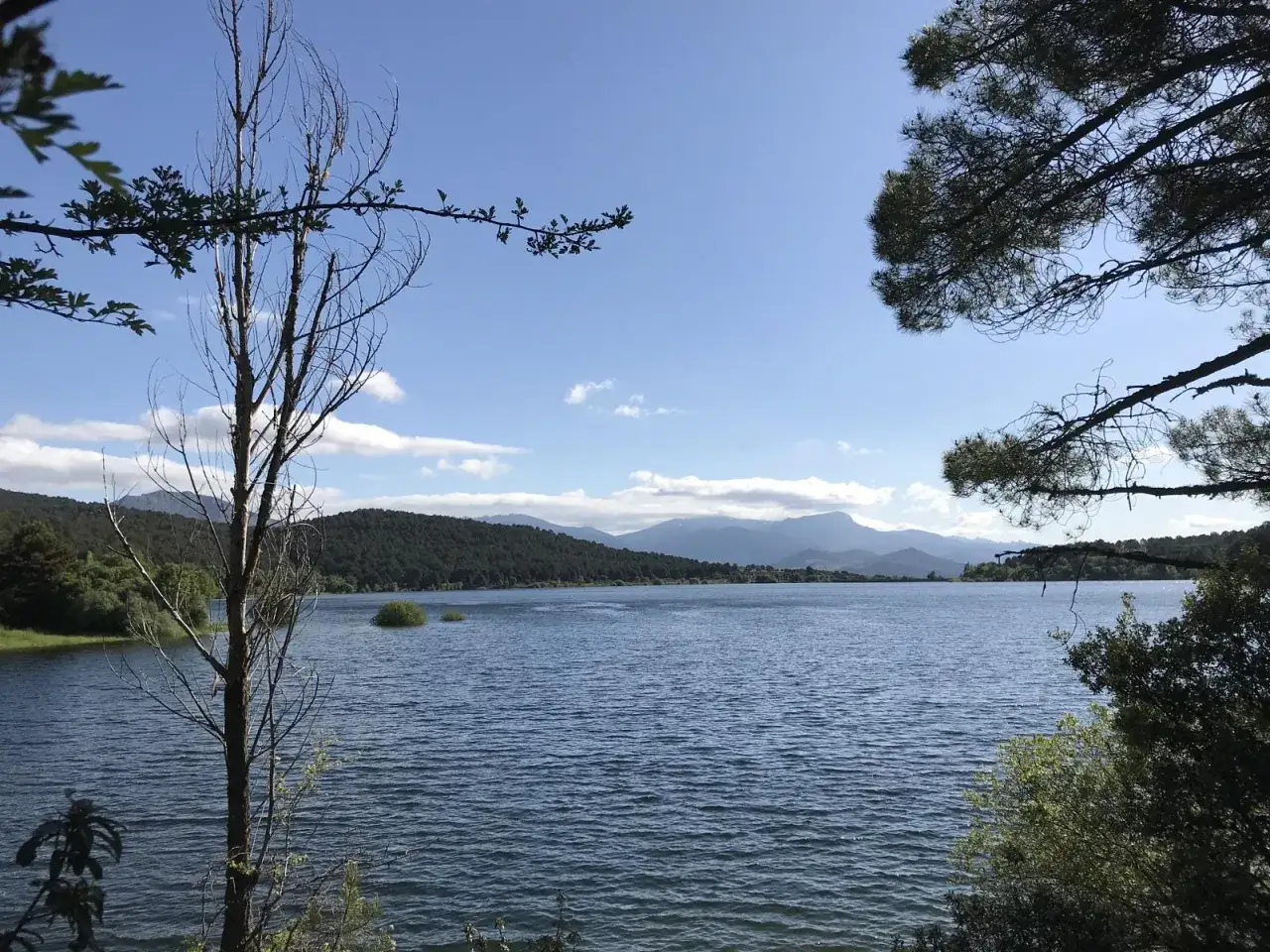El embalse La Jarosa, con sus aguas azules y serenas, se extiende bajo un cielo despejado. Montañas cubiertas de vegetación y árboles en primer plano enmarcan este paisaje tranquilo.