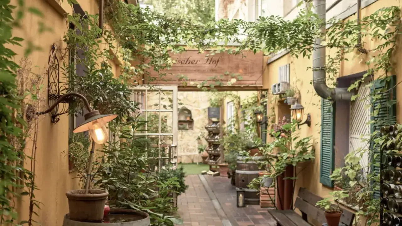 Idyllischer Innenhof eines Restaurants im belgischen Viertel, umrankt von grünen Pflanzen, mit Holzbalken und einer gemütlichen Beleuchtung.