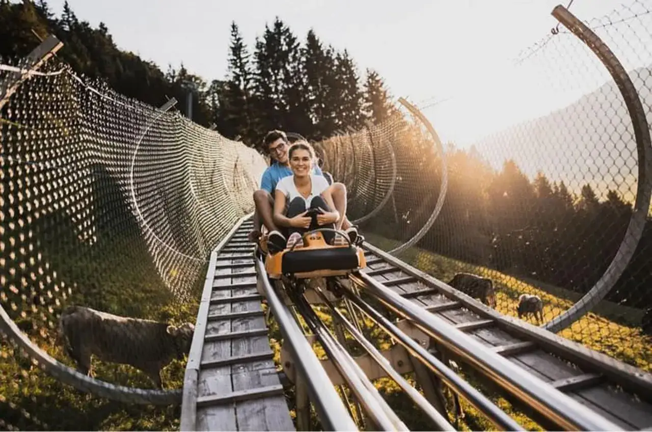 Glückliches Paar auf einer Sommerrodelbahn in Bayern, umgeben von grünen Hügeln und Kühen.