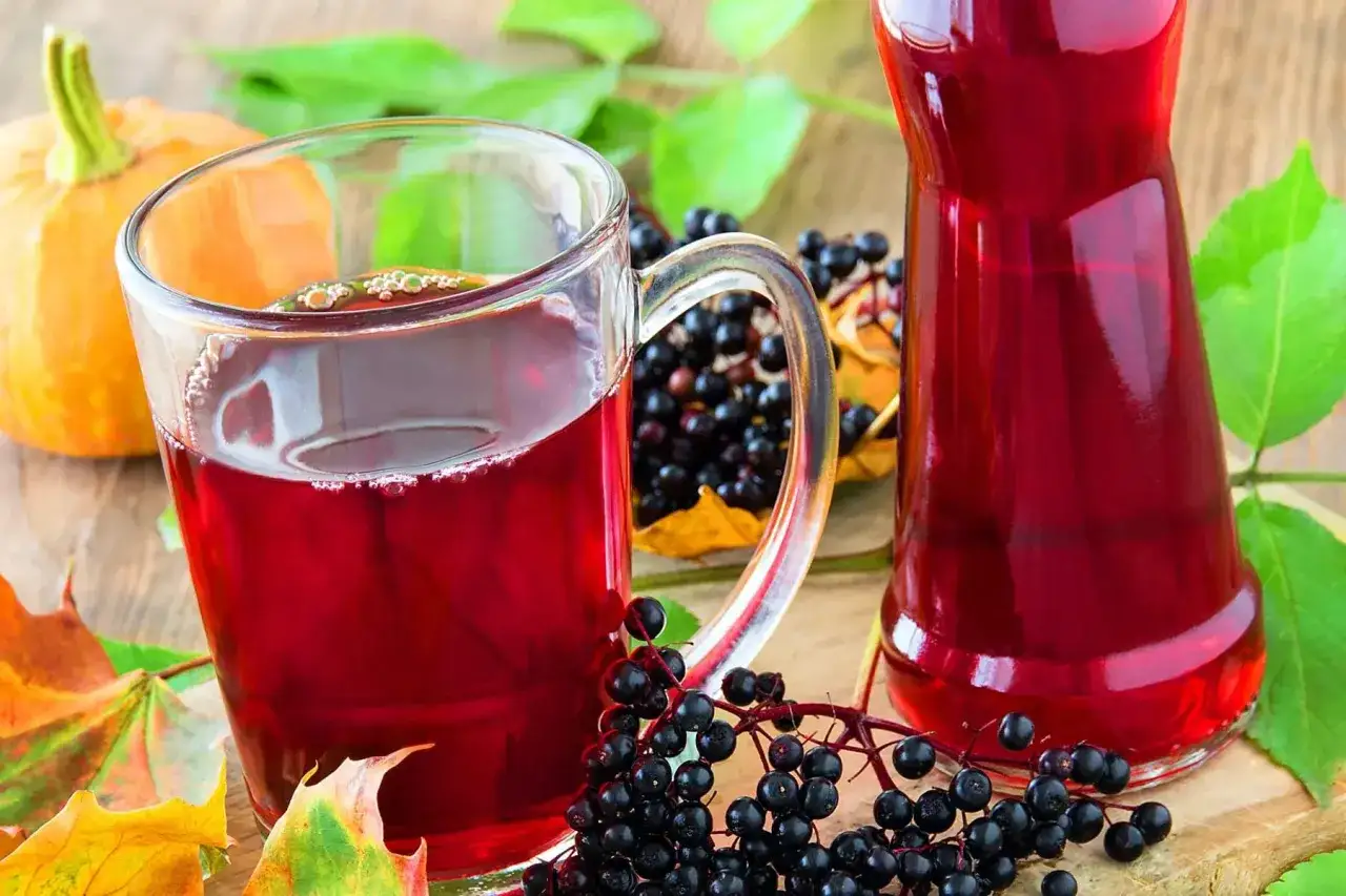 Versez ce jus de sureau rouge dans un verre pour savoir comment faire passer une toux. Une citrouille et des feuilles d'automne complètent la scène.