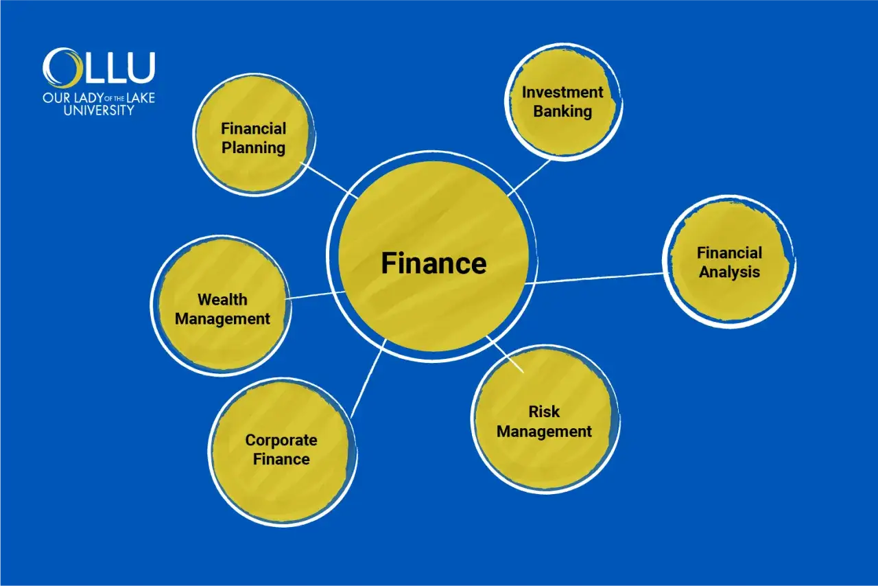 Diagrama de &aacute;reas de finanzas: planificaci&oacute;n financiera, banca de inversi&oacute;n, an&aacute;lisis financiero, gesti&oacute;n de riesgos, finanzas corporativas y gesti&oacute;n de patrimonio, todas conectadas a un centro de 