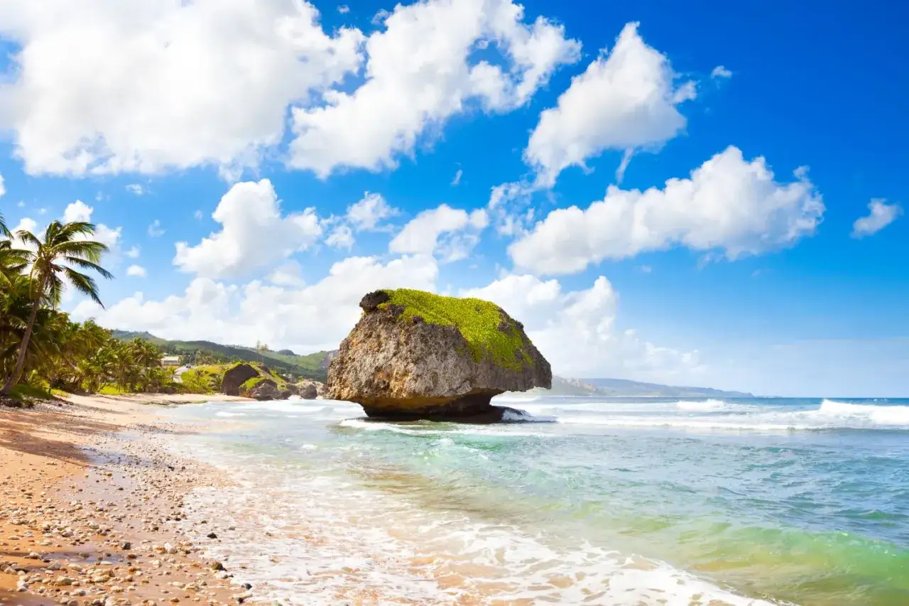 Idealne Barbados wakacje: piaszczysta plaża, turkusowa woda i charakterystyczna skała na oceanie.