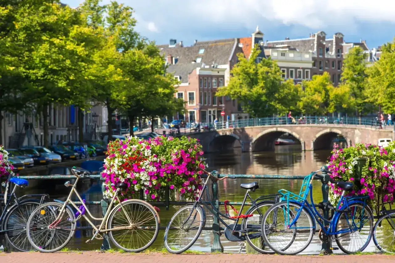 Rowery nad kanałem, kwitnące kwiaty i mosty – typowe atrakcje Amsterdamu.