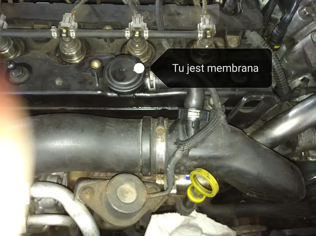 Membrana odmy w Oplu Astra H, widoczna na zdjęciu, jest kluczowym elementem układu odpowietrzania skrzyni korbowej.