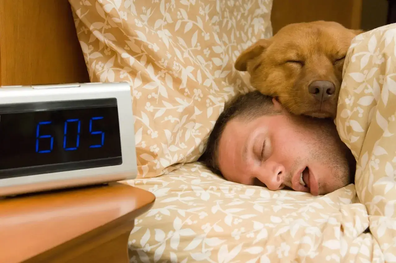 Un hombre y su perro duermen profundamente. El despertador marca las 6:05. Dormir mucho es malo, ¡hay que levantarse!