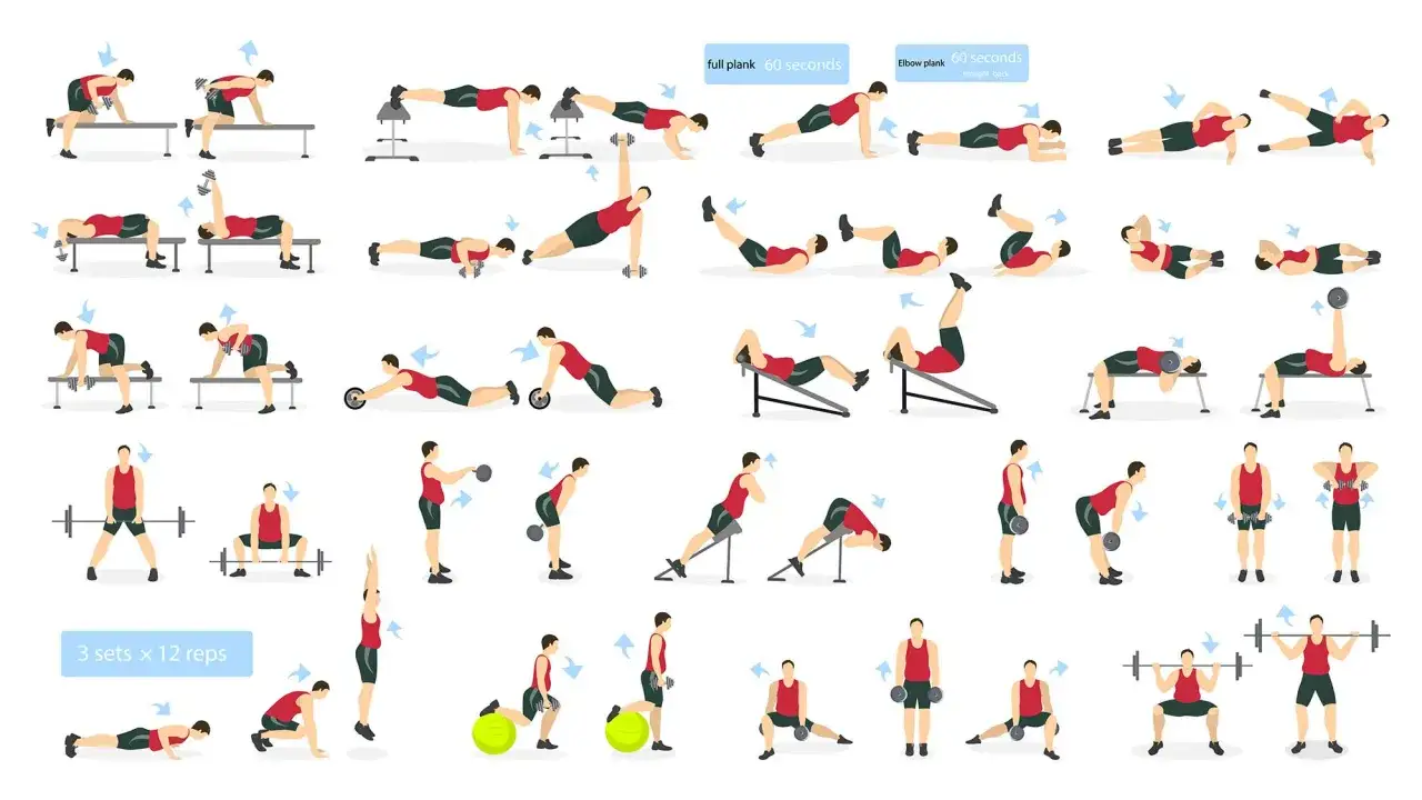 Illustrationer visar ett helkroppspass på gym med övningar som plankor, marklyft, utfall och bänkpress.