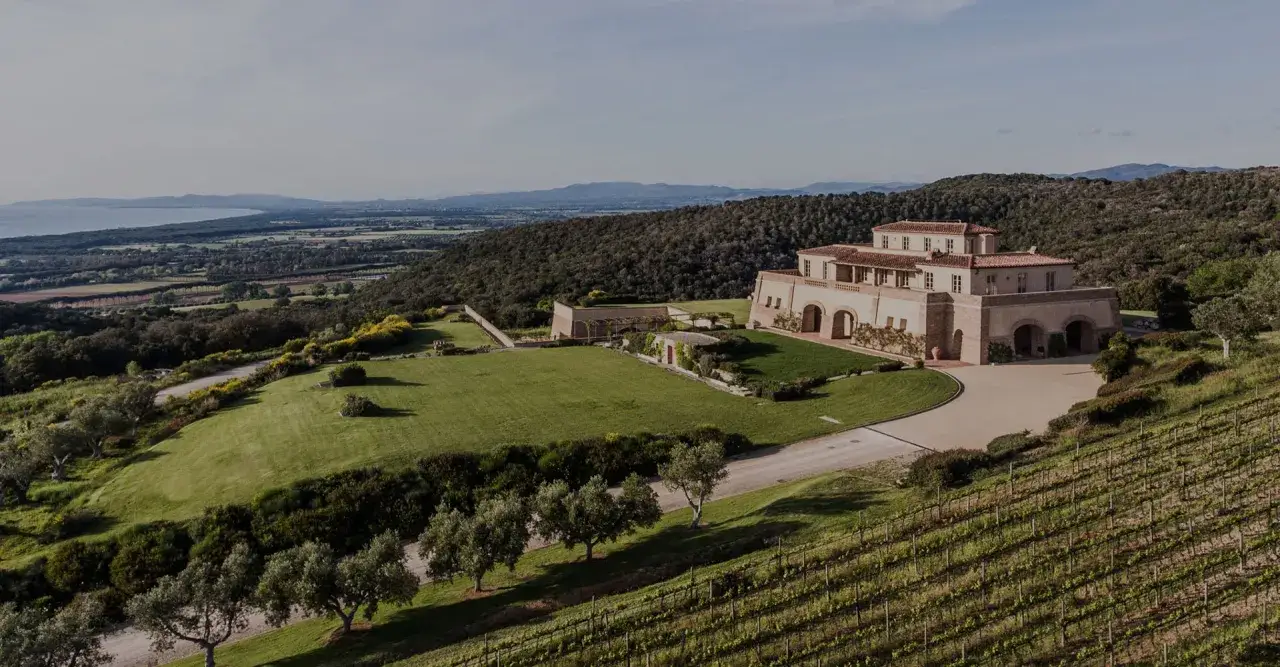 Panoramica delle cantine Bolgheri, con vigneti rigogliosi, un casale imponente e la campagna toscana sullo sfondo.