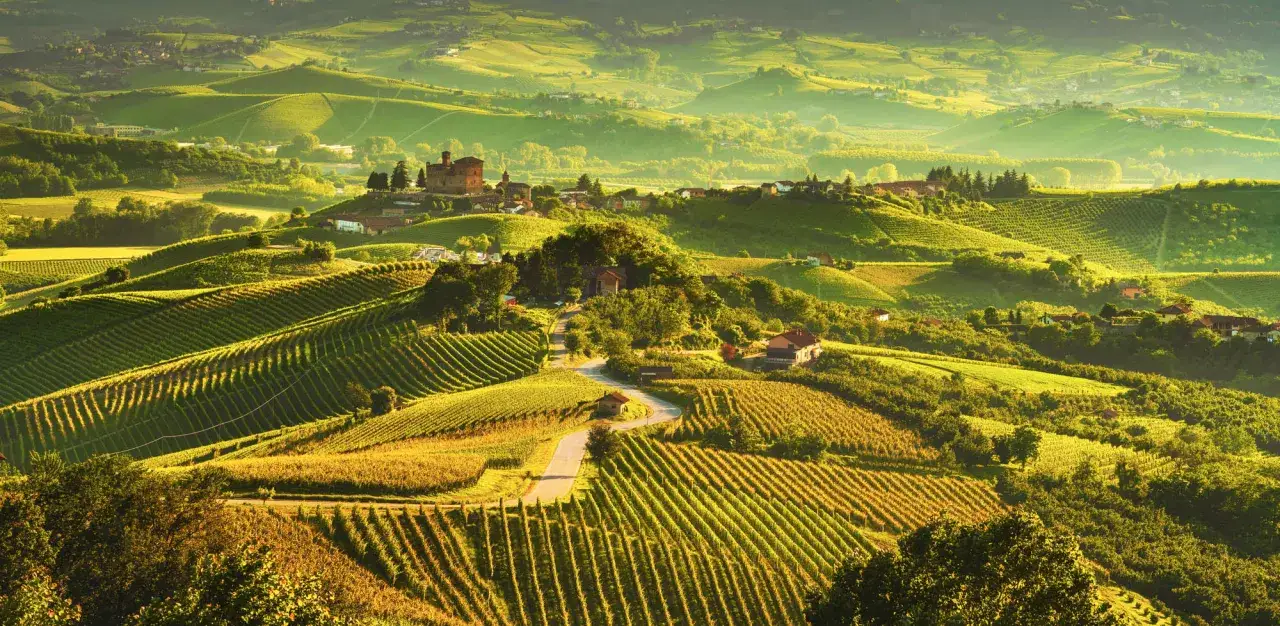 Colline ondulate e vigneti dorati nella provincia del Barolo, con un castello in lontananza e case sparse tra il verde.