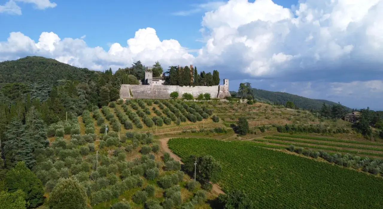 Wzgórza Toskanii z gajami oliwnymi i winnicami, na szczycie majestatyczne Castello del Trebbio.