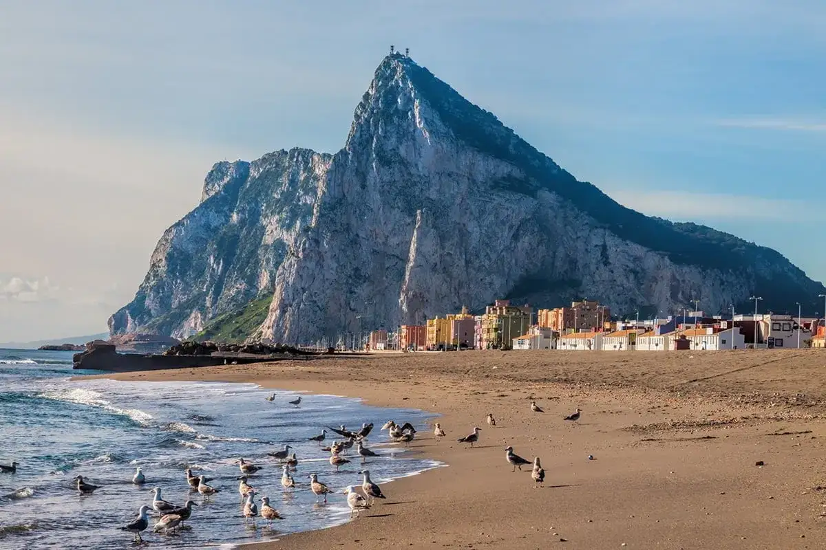 Gibraltar, brytyjskie terytorium na półwyspie iberyjskim, z charakterystyczną skałą i kolorowymi budynkami na wybrzeżu. Ptaki na plaży.