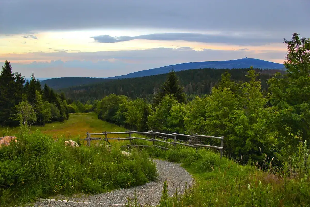 Ein Weg f&uuml;hrt durch gr&uuml;ne Wiesen und W&auml;lder im Harz. Im Hintergrund ragt ein bewaldeter Berg mit einem Turm auf. Perfekt f&uuml;r Ausflugsziele im Harz.