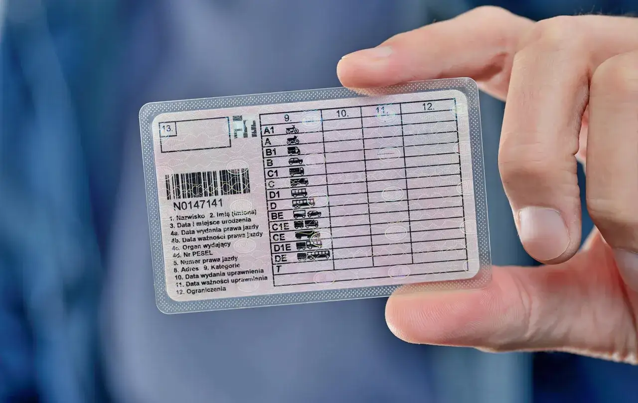 Main d'un homme tenant un permis de conduire. La date nouveau permis de conduire est visible sur le document.