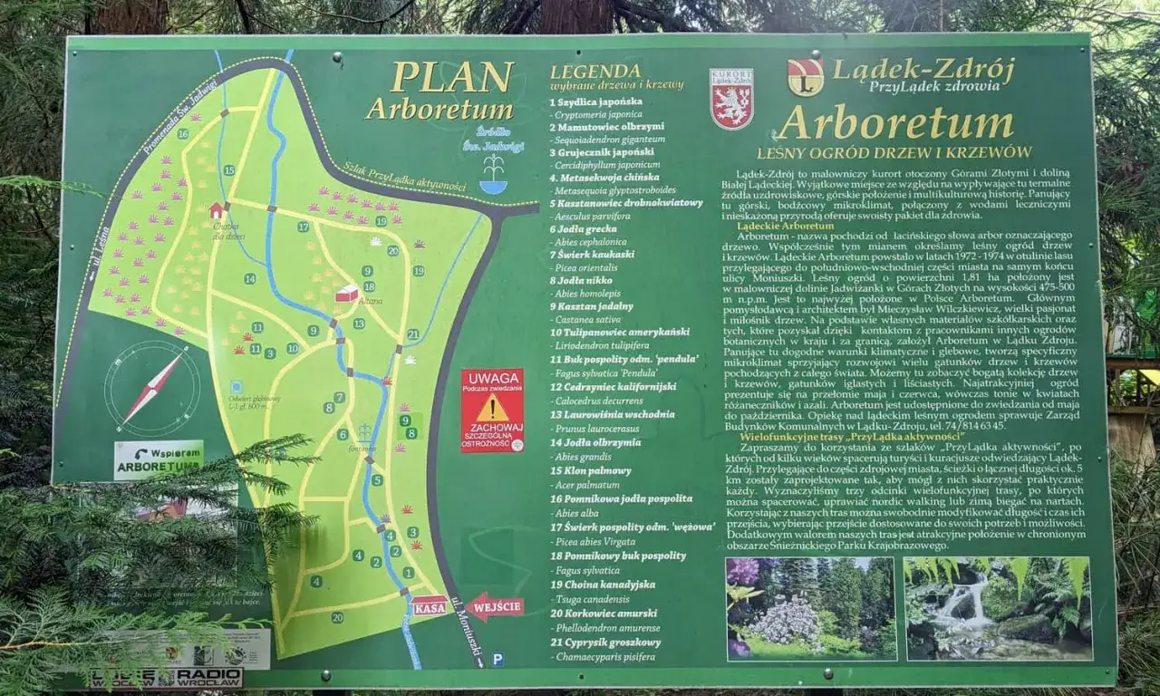 Plan Arboretum Lądek-Zdrój z legendą drzew i krzewów, opisem i mapą szlaków.