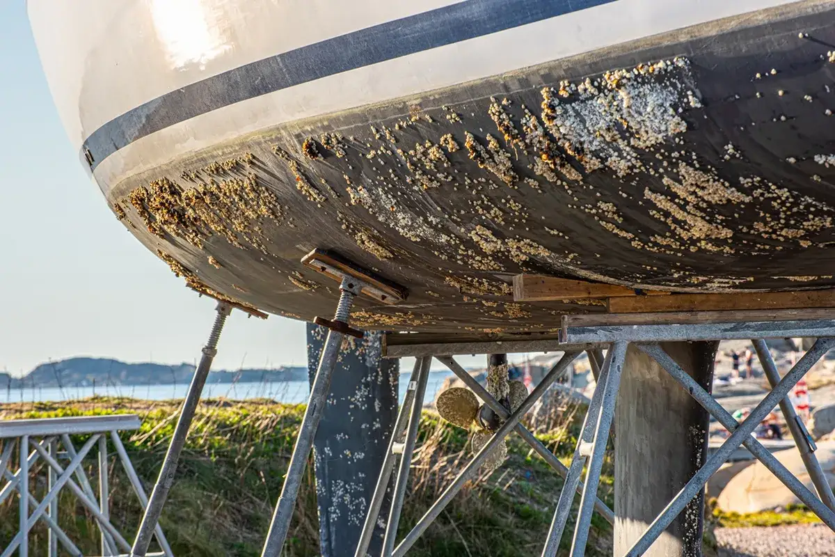 Coque de bateau recouverte de bernacles, illustrant le besoin de choisir quel antifouling choisir pour la protection.