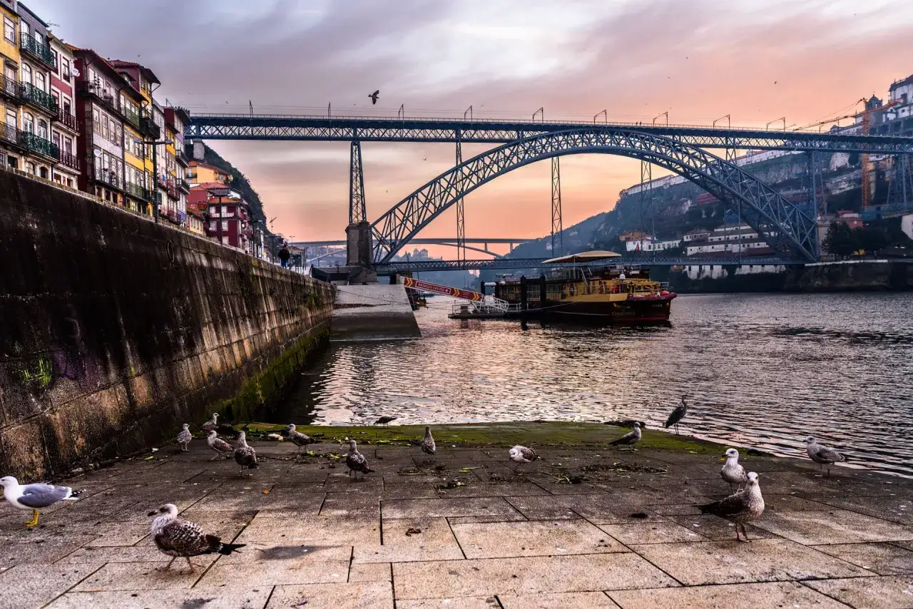 Atardecer en Oporto bajo los famosos puentes de hierro, con gaviotas en primer plano y un barco tur&iacute;stico en el r&iacute;o Duero.