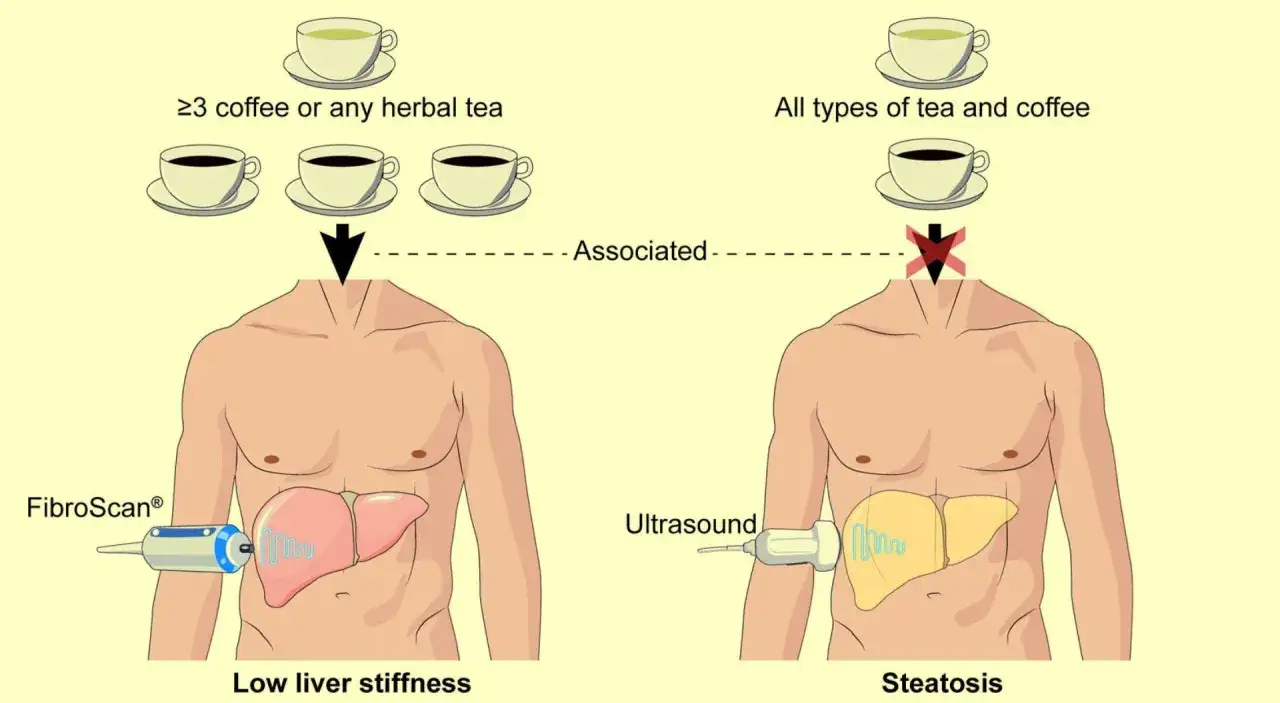 Il consumo di caff&egrave; pu&ograve; essere associato a problemi epatici. Il consumo di 3 o pi&ugrave; caff&egrave; al giorno &egrave; collegato a bassa rigidit&agrave; epatica, mentre tutti i tipi di t&egrave; e caff&egrave; sono associati a steatosi.