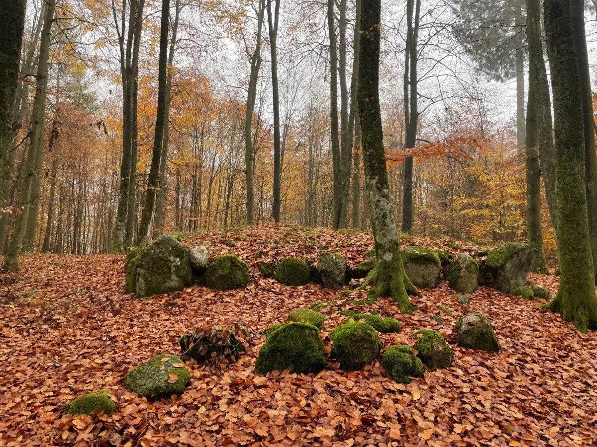 Jesienny las skrywa kamienny kurhan, otoczony dywanem liści.
