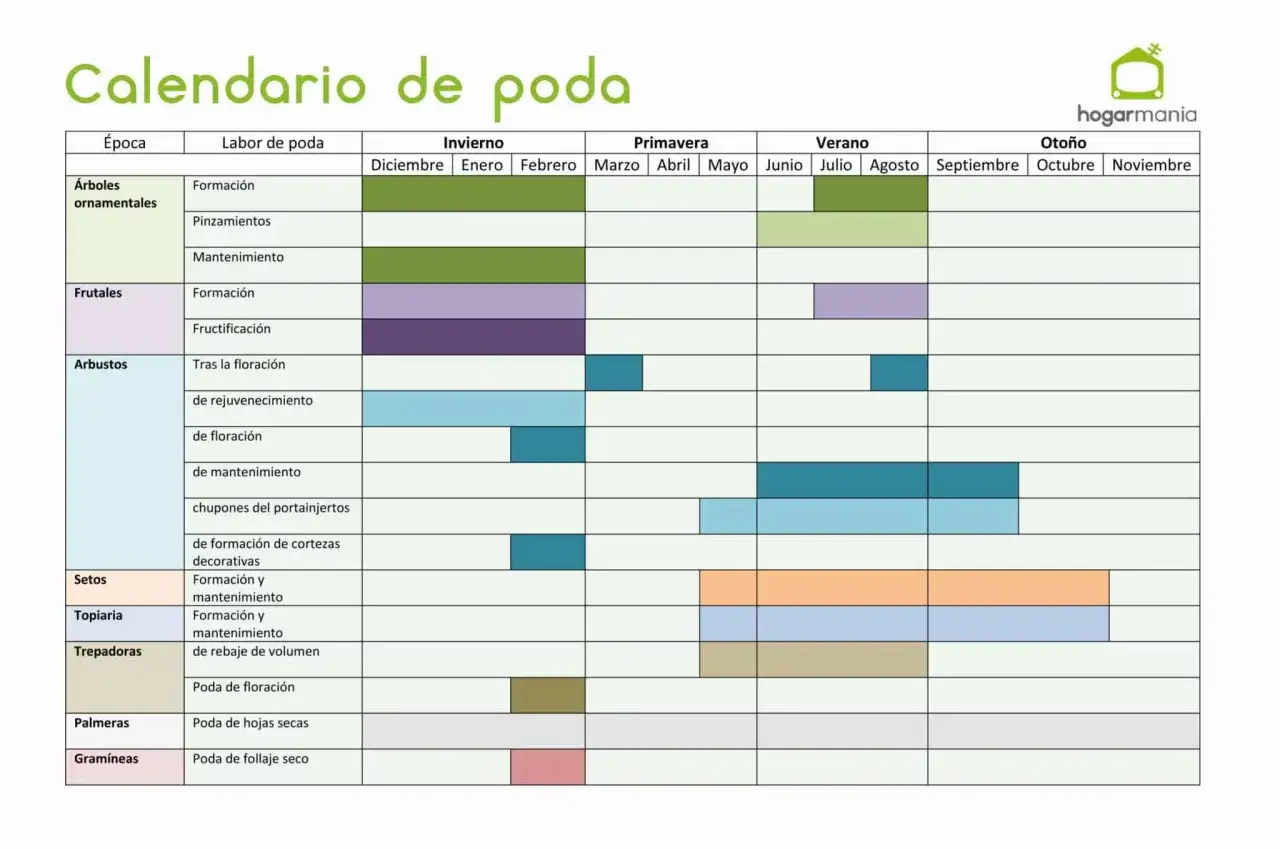 Calendario de poda: cuándo podar tuyas en Galicia. Guía visual para árboles ornamentales, frutales, arbustos, setos, topiaria, trepadoras, palmeras y gramíneas.
