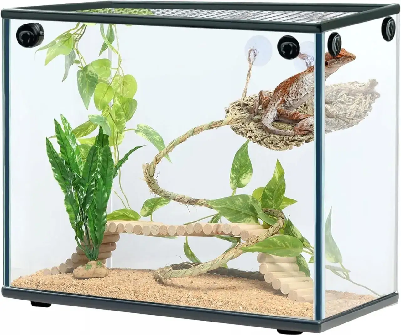 wyposażenie terrarium elementy