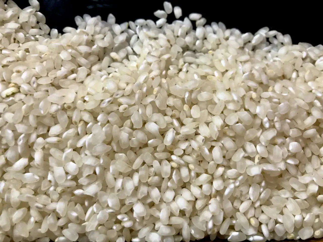 Granos de arroz blanco, perfectos para saber qué arroz es mejor para la paella.