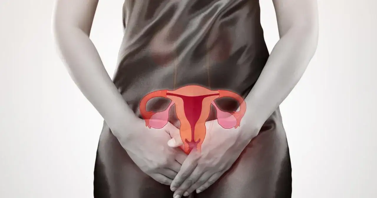 Anatomical illustration of a uterus with two horns, superimposed on a woman's torso.