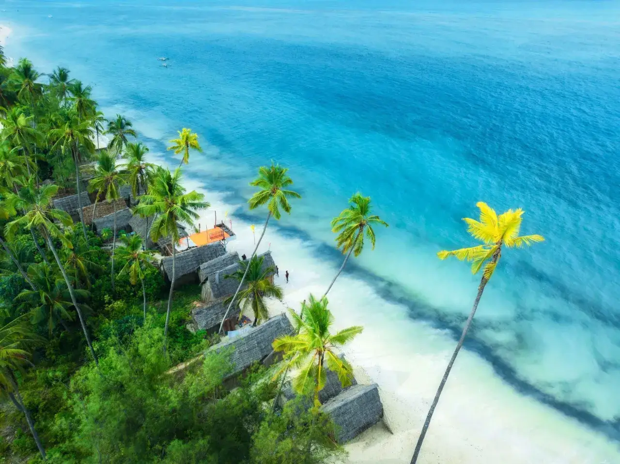 Rajska plaża na Zanzibarze z palmami i chatkami. Idealne miejsce na wakacje, jak z przewodnika.