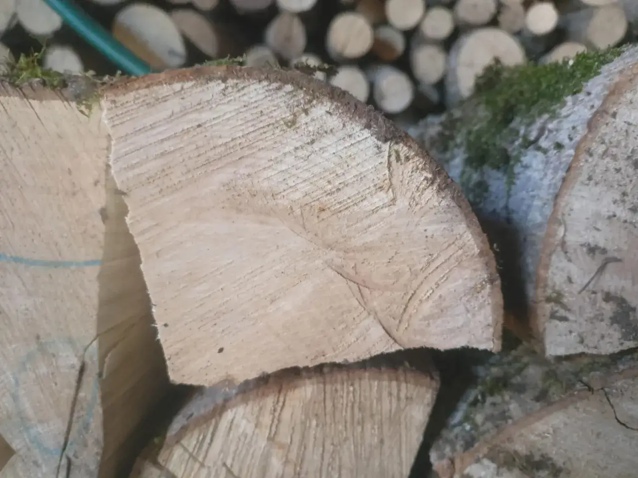 Drewno jesionowe, idealne na jesion do kominka, leży ułożone w stos. Widać słoje drewna i mech na korze.