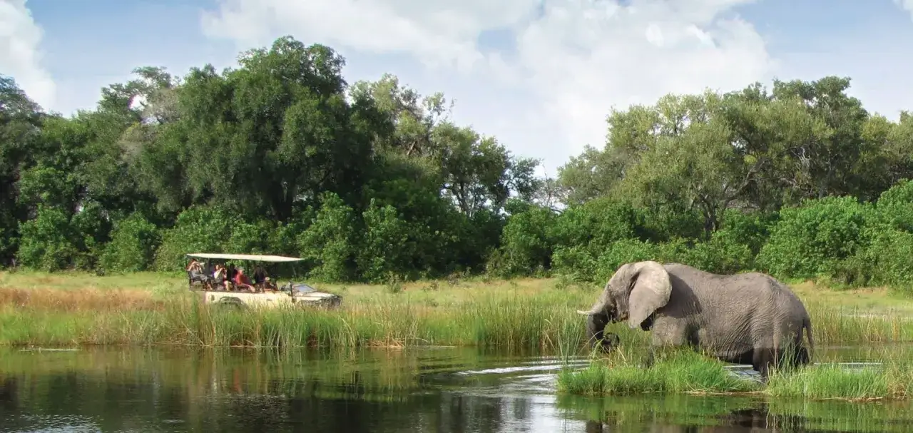 Słoń w wodzie, obok łodzi z turystami. Piękna botswana pogoda zachęca do safari.