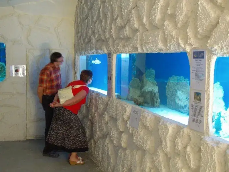 Oceanarium Mielno wnętrze