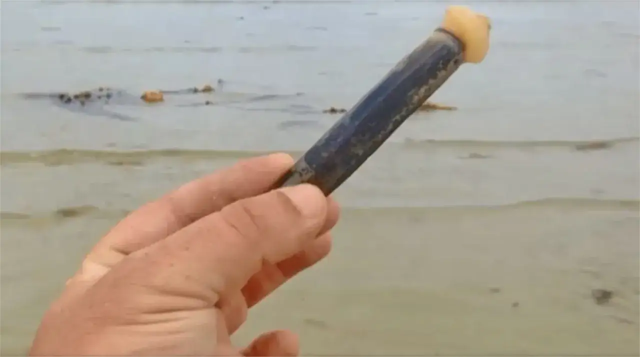 Une main tient un couteau de mer, un coquillage allong&eacute;, sur fond de sable et d'eau.