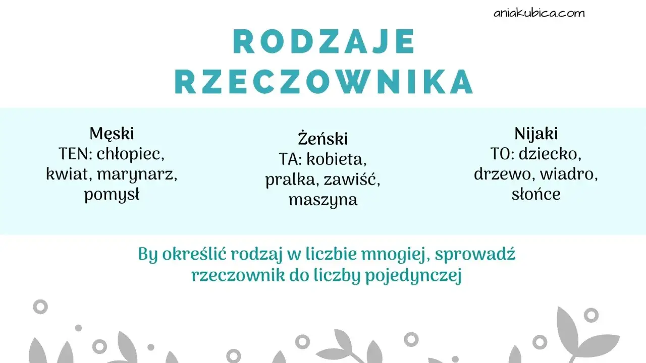 Rodzaje rzeczownika: męski (ten), żeński (ta), nijaki (to). Przykłady: chłopiec, kobieta, dziecko.