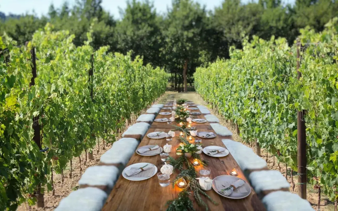 Tavola apparecchiata in un vigneto, un'esperienza suggestiva nell'entroterra toscana.