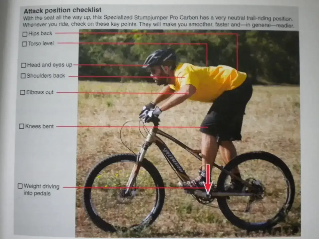 Prawidłowa pozycja na rowerze MTB: biodra cofnięte, tułów lekko pochylony, głowa do góry, łokcie na zewnątrz, kolana ugięte, nacisk na pedały.