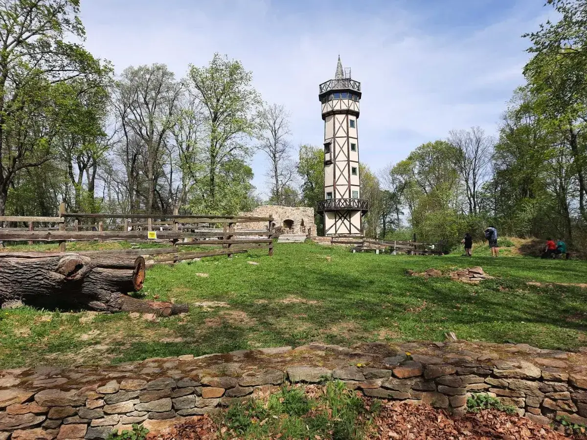 Wieża widokowa na wzgórzach strzelińskich, otoczona zielenią i drewnianym płotem. W oddali widać fragmenty ruin.