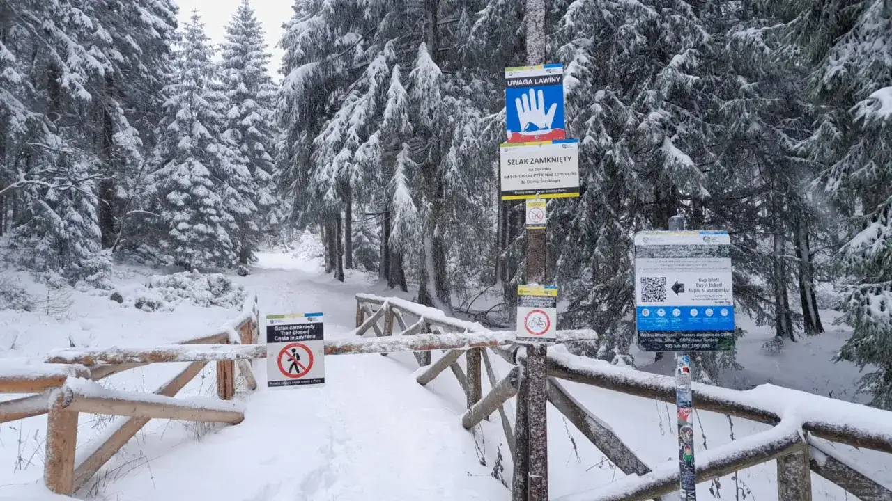 Zimowy las, zasypany śniegiem szlak z zakazem wejścia. Ignorowanie takich znaków może prowadzić do niebezpiecznych sytuacji, jak lawiny.