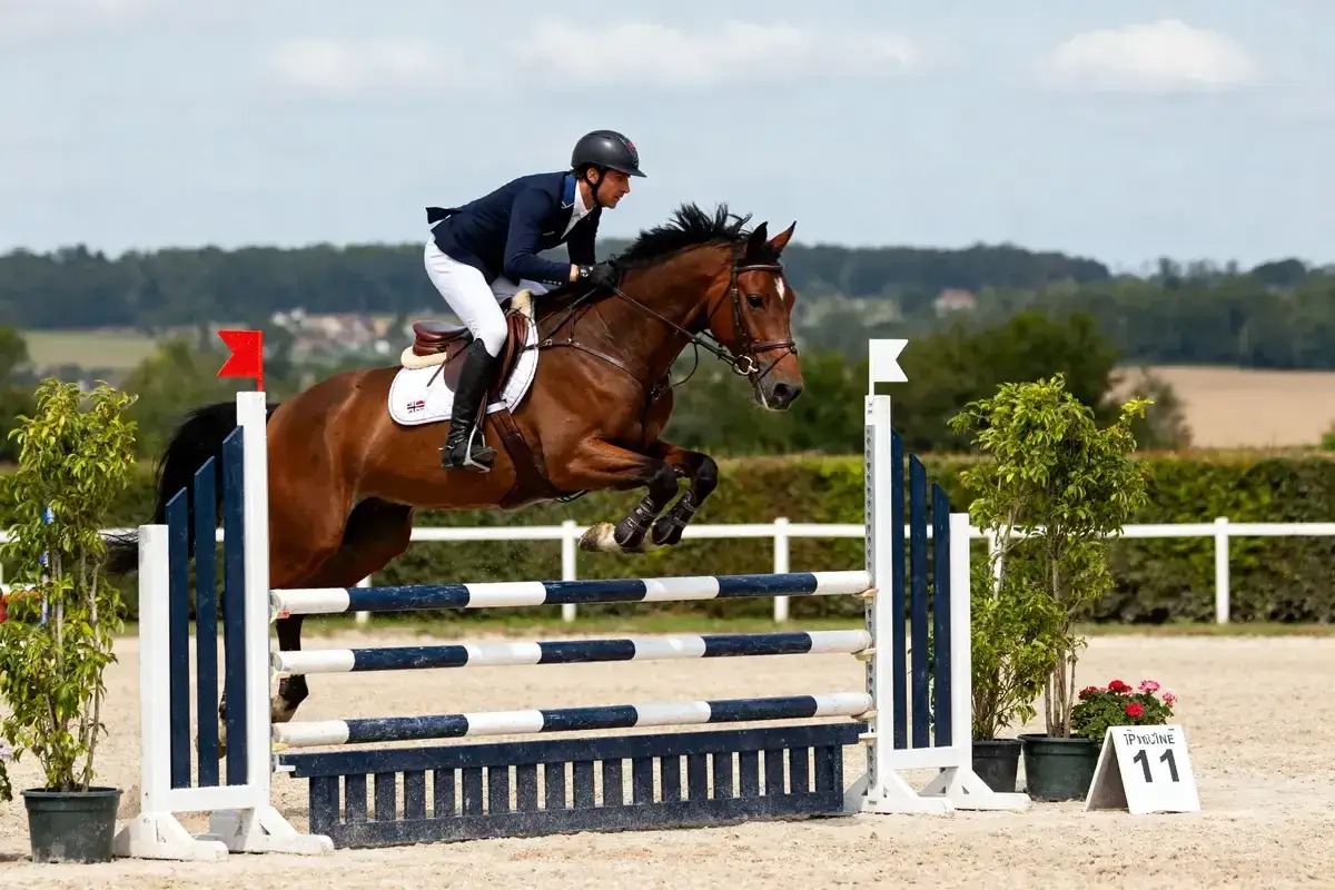Cavalier et cheval brun sautent un obstacle lors d'un concours hippique. Le cavalier porte un casque et une veste bleue.
