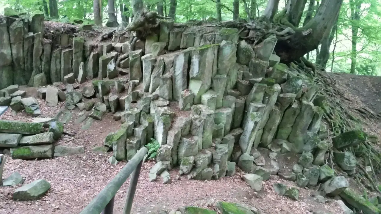 S&auml;ulen aus grauem Gestein, wie ein versteinerter Wald, ragen aus dem Waldboden. Ein einzelner blauer Stein ist nicht zu sehen, aber die Formationen sind faszinierend.
