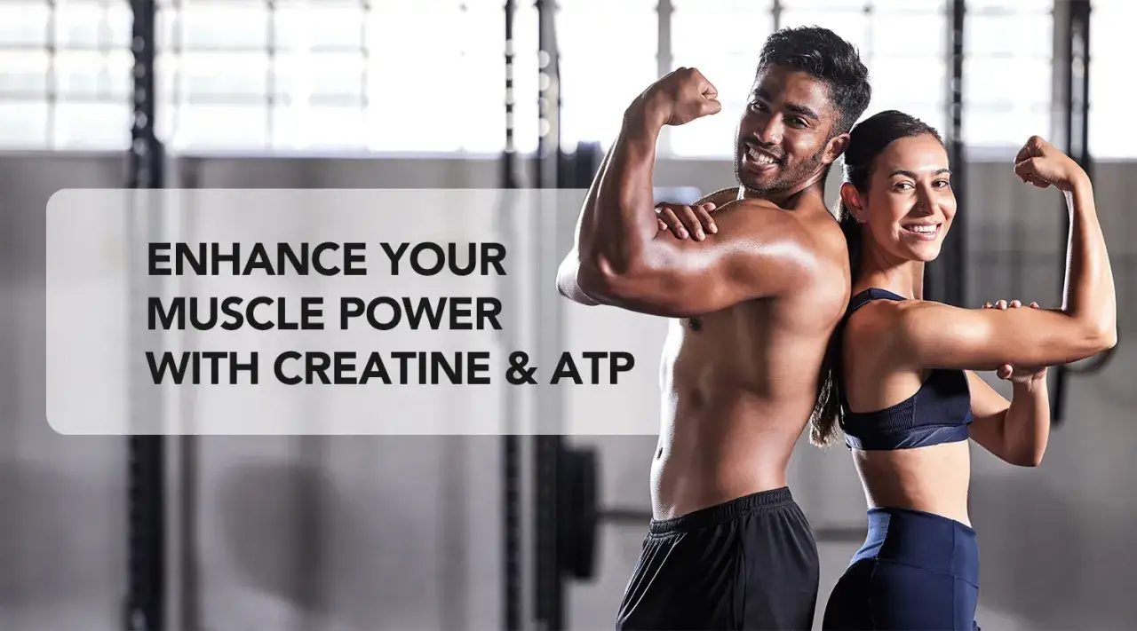 Pareja sonriente en el gimnasio mostrando sus b&iacute;ceps. El texto indica que la creatina potencia la fuerza muscular.