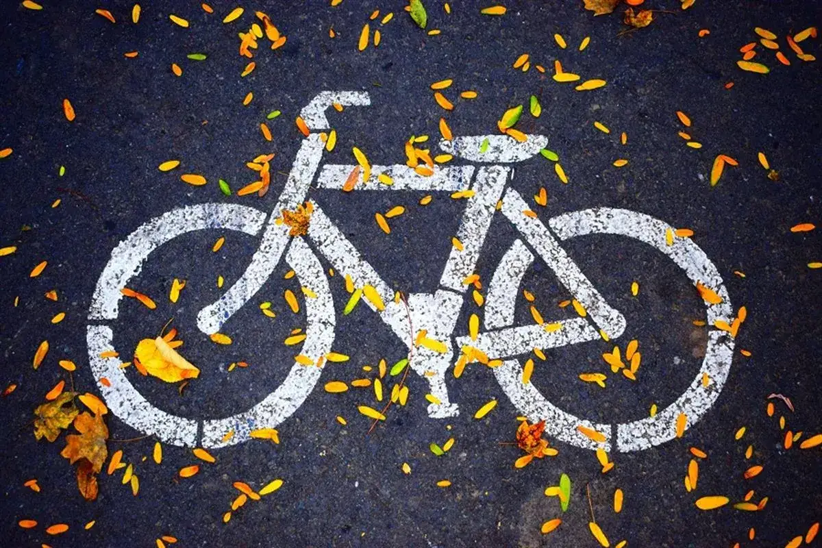Znak rowerowy na ulicy, zasypany jesiennymi liśćmi. Tak, czy rowerem można jeździć po ulicy, zwłaszcza po wyznaczonych ścieżkach.