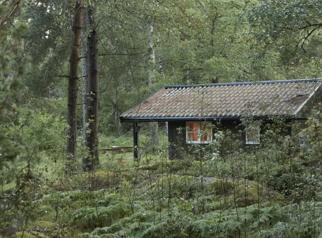 En mysig stuga i en grinda stugby, omgiven av gr&ouml;nskande skog och ormbunkar. Ljuset fr&aring;n f&ouml;nstret lyser varmt.