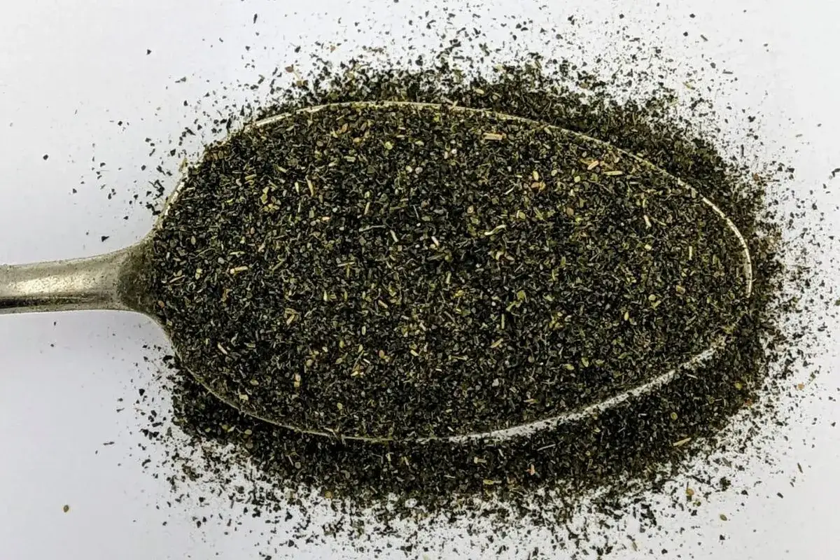 Un cucchiaio pieno di polvere di ortica, finemente tritata, pronta per essere usata in cucina o per i suoi benefici.