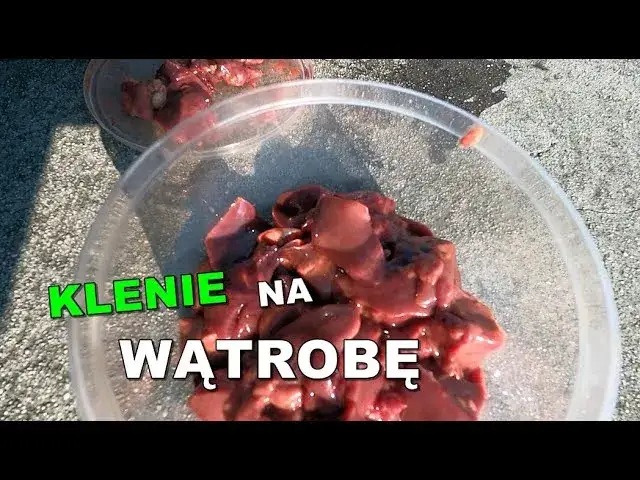 jak prawidłowo kroić wątrobę na przynętę wędkarską