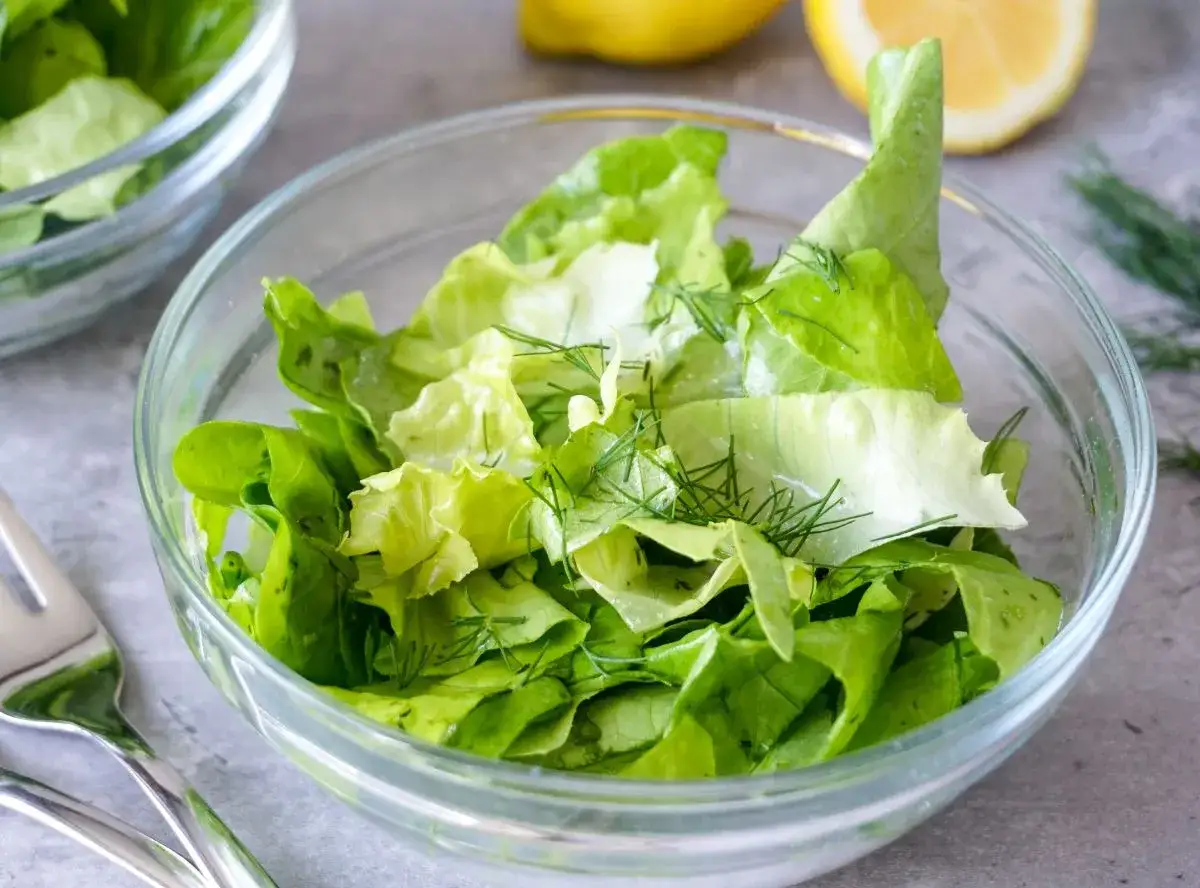 frischer gr&uuml;ner Salat Bl&auml;tter