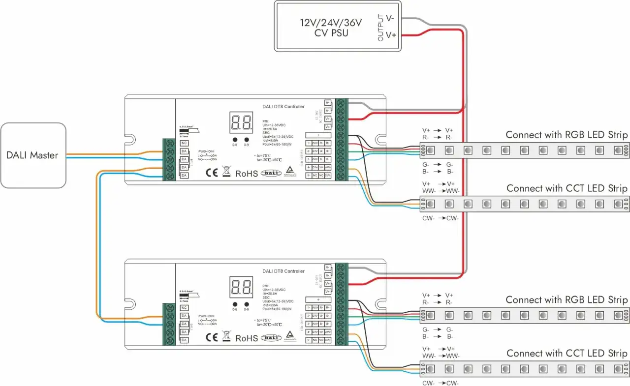 Schemat podłączenia zasilacza RGB do sterowników DALI DT8 i taśm LED RGB/CCT.