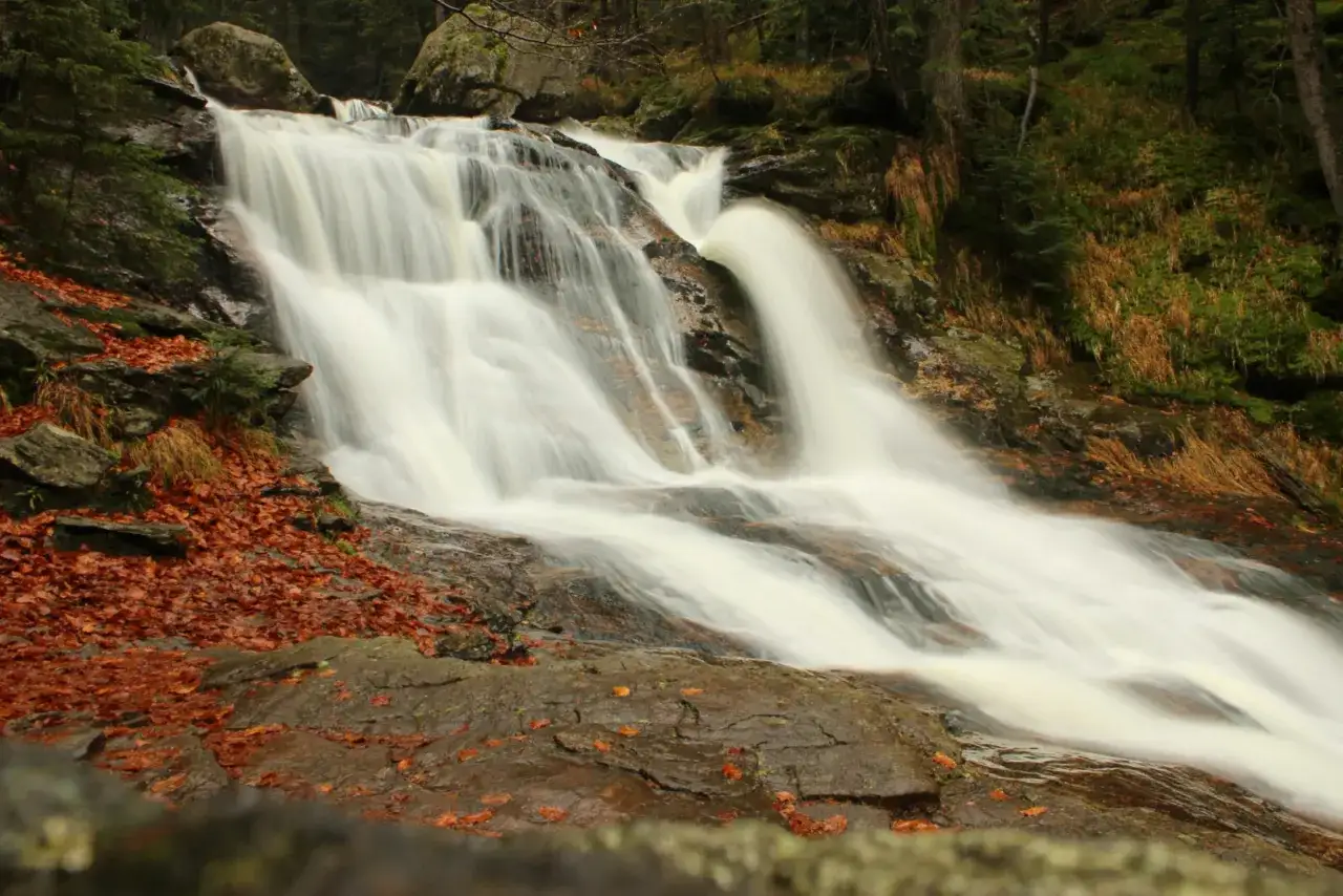 Sanfter Zwiesel Wasserfall fließt über moosbewachsene Felsen, umgeben von Herbstlaub und dunklem Wald.