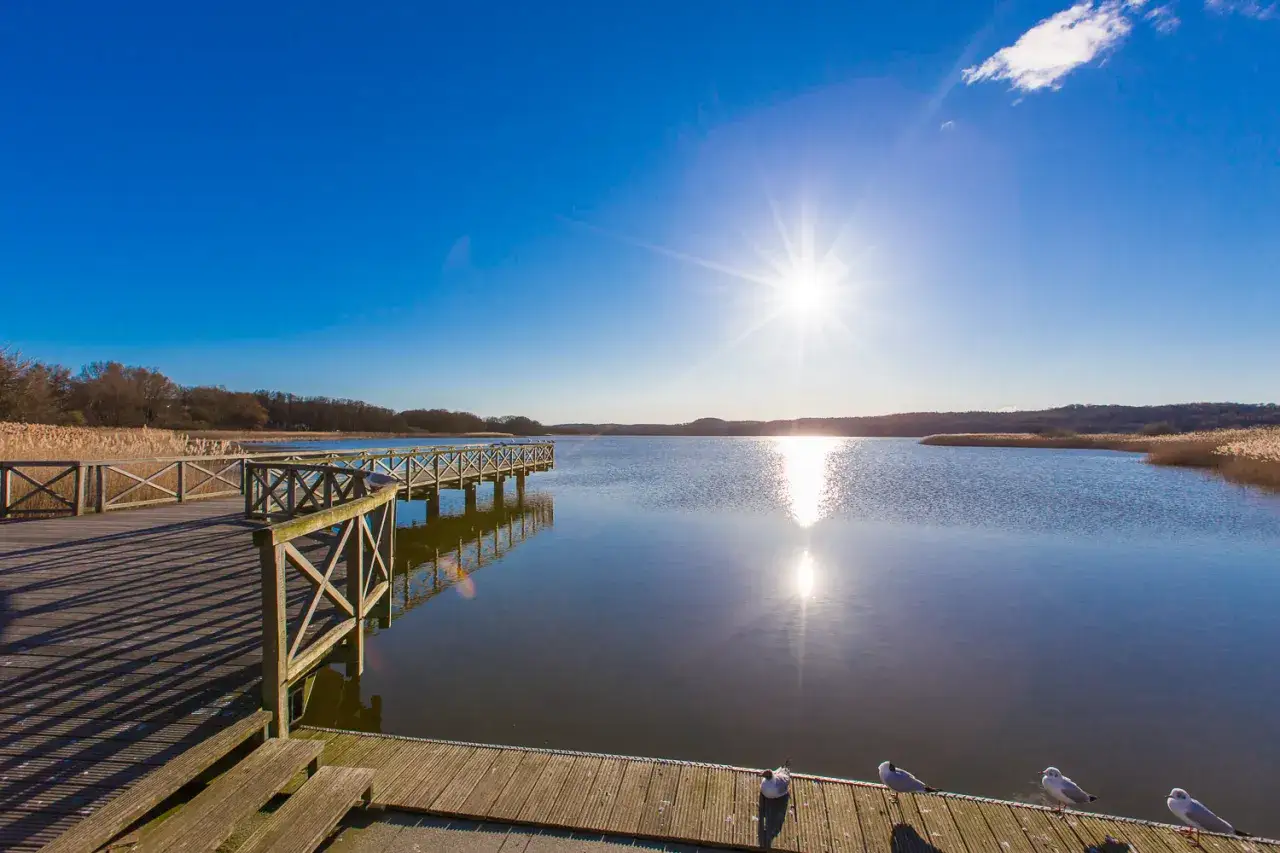 Holzsteg am Schmachter See Rundweg mit M&ouml;wen, strahlender Sonne und klarem Himmel.