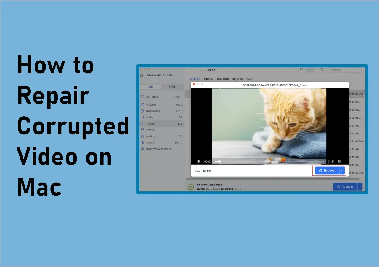 Screen showing how to repair corrupted video on Mac, with a video player displaying a cat and a 