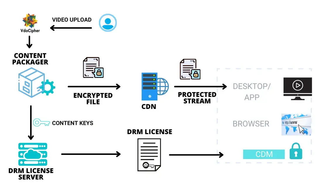 Widevine Content Decryption Module logo lub ikona DRM