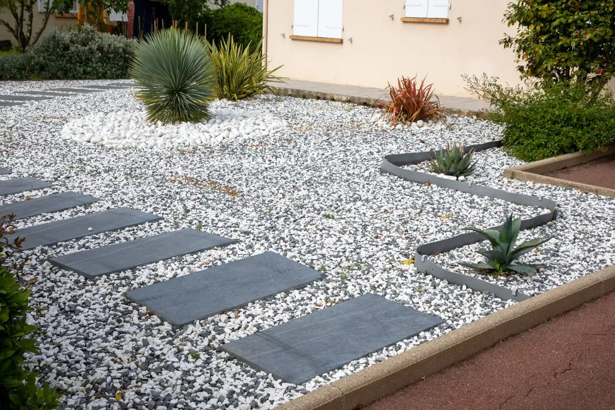 Jardines modernos con senderos de losas grises sobre grava blanca y oscura. Plantas suculentas y un gran cactus completan el diseño.