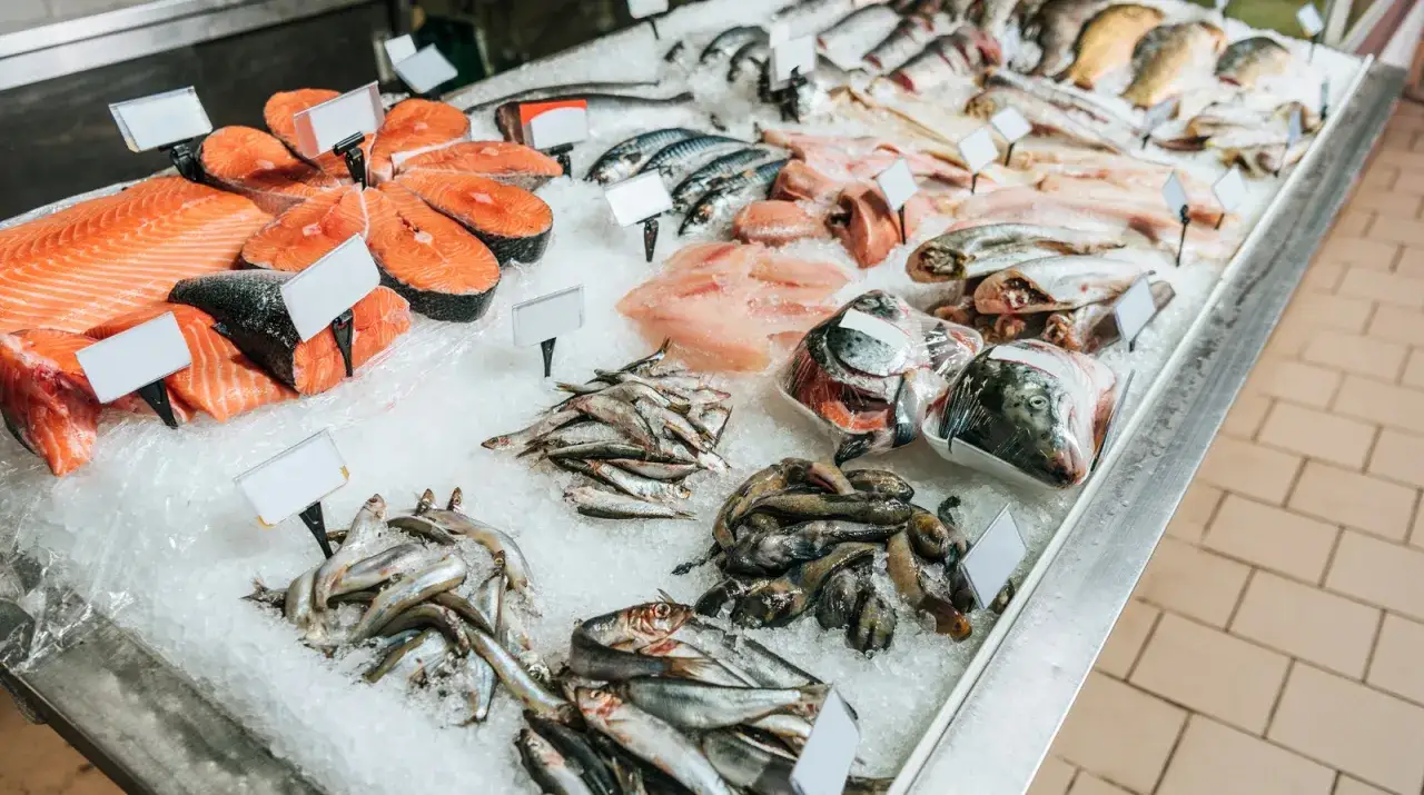 Frischer Fisch auf Eis: Lachssteaks, Makrelen, kleine Fische und ein Forellen-Kopf.